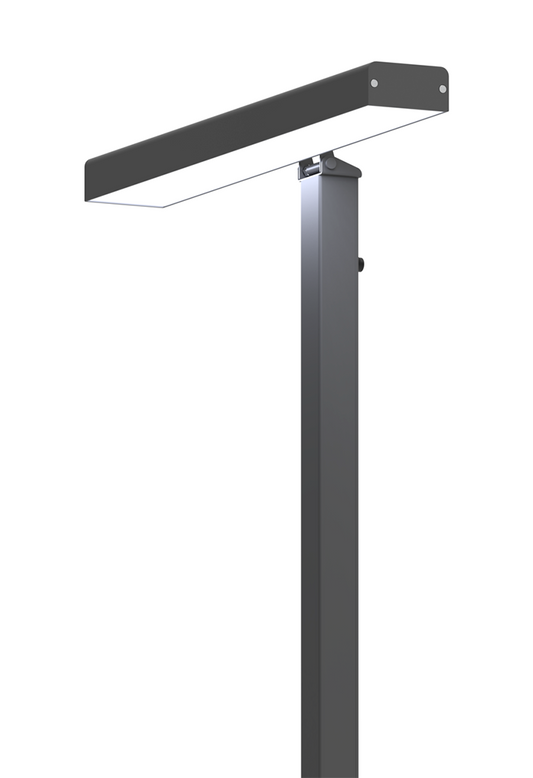 Innolux Valovoima Stehlampe: Lichttherapie-Lampe und Wohnraumleuchte (10'000 lux), anthrazit